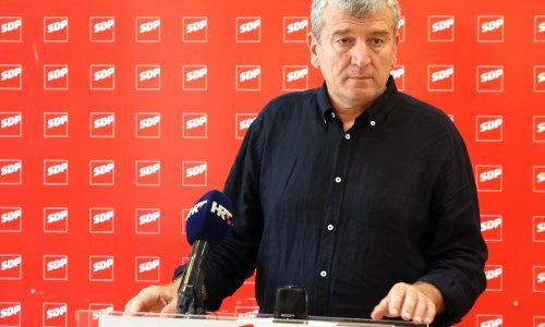 Baranović: Od prve uginule stoke do rezultata prošlo je 10 dana