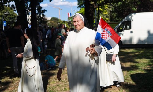 Penju se na drveće i Tuđmanov spomenik: Ovako se građani snalaze da bi što bolje vidjeli mimohod