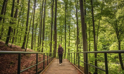 Tražite spas od vrućine? Zagrebački šumari otkrili lokacije koje će vas najbolje osvježiti