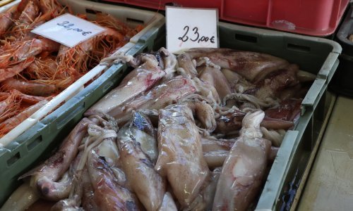 Podaci Eurostata: Cijene su rasle i u srpnju, inflacija je stabilna