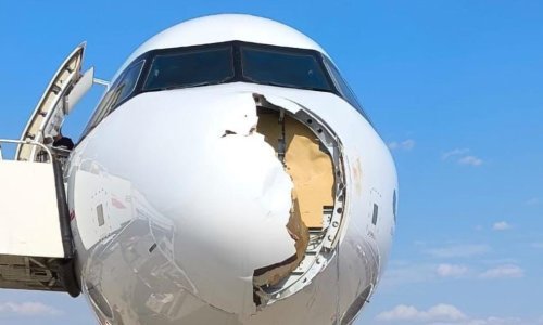 Šokantne fotografije: Pogledajte kako izgleda avion nakon sudara s pticom