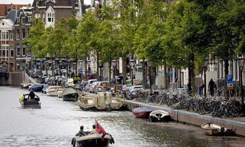 Kanali u Amsterdamu smrtonosni za mačke, evo kako će tome stati na kraj