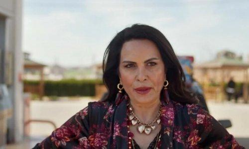 Od arhitektice do otkačene majke u seriji 'Daleki grad': Evo tko tumači novi lik, Fikrije