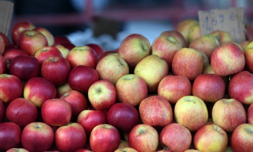 Hrvatima će uskoro poskupjeti i jabuke: Evo kako će se kretati cijene ove sezone
