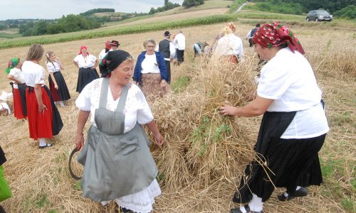 Na Ploščićkom mašinanju prikazana tradicija žetve žita na dreš, slavilo se i u Subotici