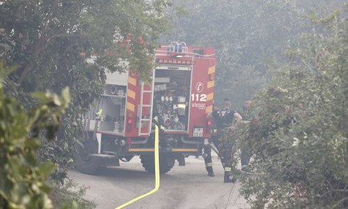Požar u Raškom zaljevu izazvao zapaljeni automobil: Izgorjelo 30 hektara šume