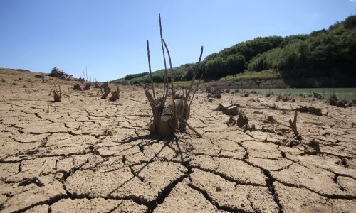 Proglašena prirodna nepogoda za područje Pitomače, Suhopolja i Špišić Bukovice