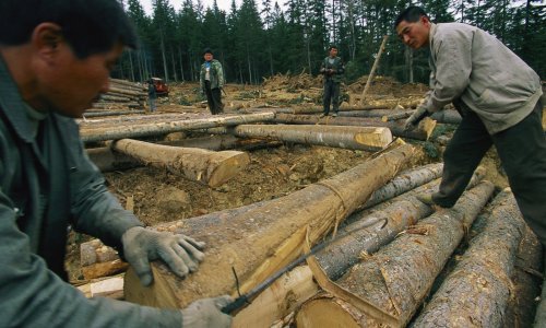 Sjevernokorejci progovorili za BBC: Šalju nas u Rusiju da radimo kao robovi, kažu nam 'vi niste ljudi'