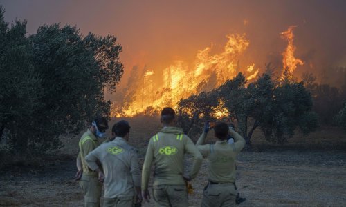 Zbog požara na sjeverozapadu Turske evakuirane stotine stanovnika