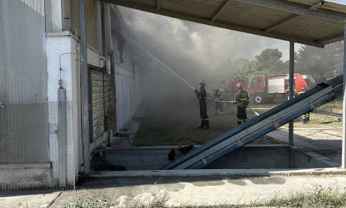 Požar progutao farmu peradi: Stradalo 18 tisuća koka nesilica