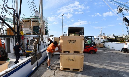 Riba u Hrvatskoj poskupjela više nego igdje u EU