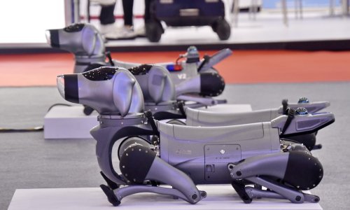 Robotski pas u Meksiku trči, šeće, razgovara, ali i podiže svijest o pravima životinja