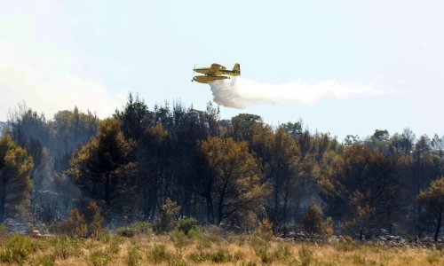 Lokaliziran požar kod Murvice