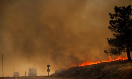 Europa u plamenu: Šumski požari bjesne diljem Mediterana