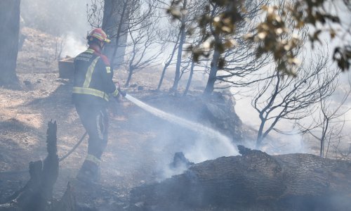 Udar groma izazvao požar kod Trogira, interveniralo 40-ak vatrogasaca s 15 vozila