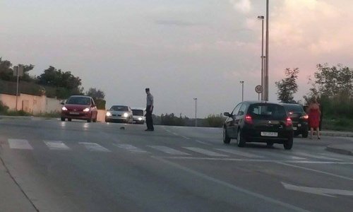 Pulski policajac zaustavio promet zbog ježa