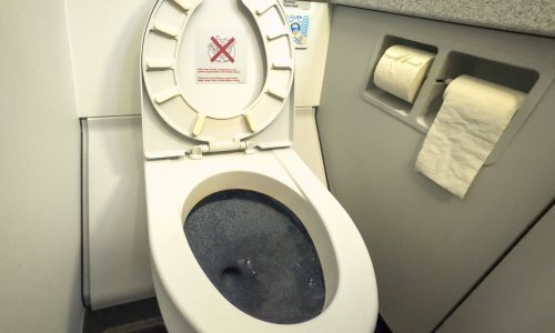 Možete li se stvarno zaraziti sjedeći na školjci u javnom WC-u? Evo što kažu mikrobiolozi