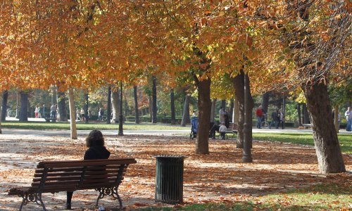 Stanovnici Madrida žele više stabala jer snizuju paklene vrućine