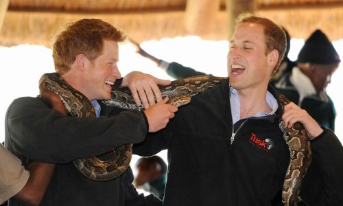 Ova nepremostiva prepreka stoji između pomirenja princa Williama i Harryja