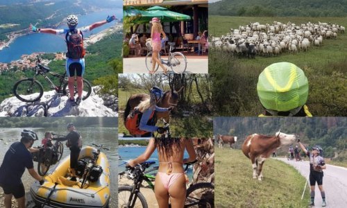 BLOG: PEDALIRANJE