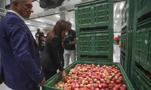 Osječki Distribucijski centar za voće i povrće radi punom parom: 18 ugovora s proizvođačima