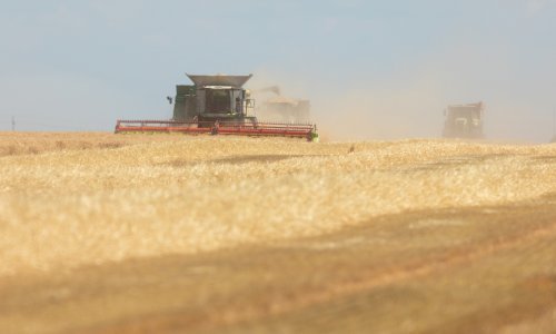 Ratari pred zidom: 'U slučaju sukoba - što ćemo jesti?'