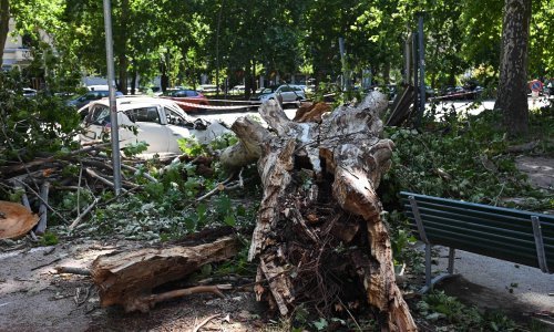 Tornado poharao Italiju: U nekim dijelovima padala tuča promjera 8 centimetara