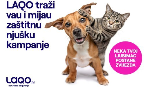 Tko će biti glavne njuške u gradu: LAQO traži nove zvijezde za kampanju osiguranja kućnih ljubimaca