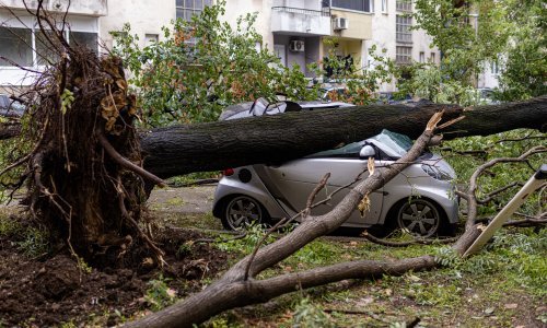 Snažno nevrijeme poharalo Mostar: Orkanski vjetar čupao stabla, voda se treba prokuhavati