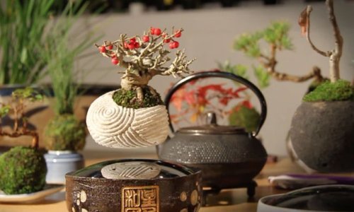 Što kažete na lebdeća bonsai stabla?