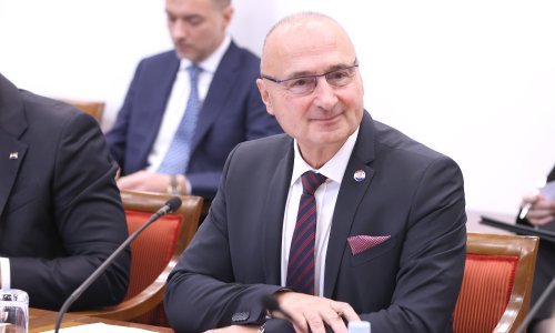 [VIDEO] Bizaran moment: Grlić Radman SDP-ovcima citirao pjesmicu Jovana Jovanovića Zmaja