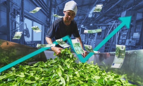 Napitak za kojim je Zapad poludio uskoro će mnogima postati luksuz: Očekujte golem rast cijena