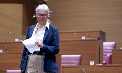 Oporba o Hrvatskim šumama: Pojedinci su se bogatili na krađi nacionalnih resursa