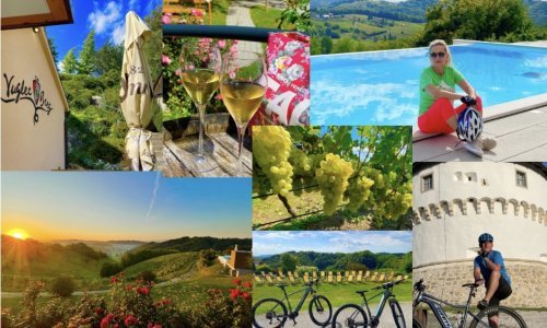 BLOG: PEDALIRANJE
