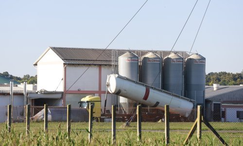 Ovako počinje dan radnika farme koju je poharala kuga: Moraju skinuti i donje rublje