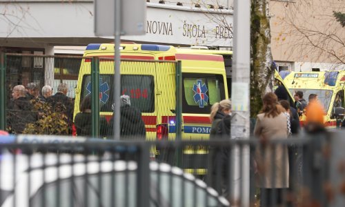 S lancima na nogama ubojica iz Prečkog doveden na prvo ročište