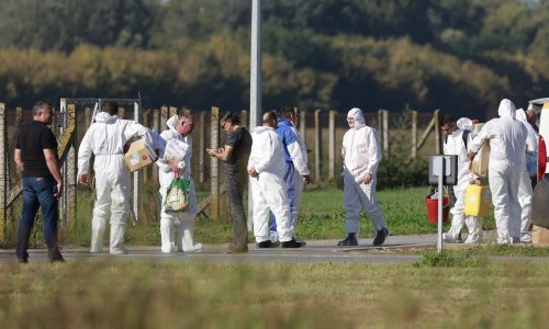 Potvrđeni novi slučajevi svinjske kuge i uvedene nove zone ograničenja