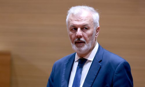 Sanader: Afrička svinjska kuga je najveći nacionalni problem