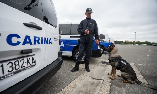 Sve više mladih želi u carinike: Ovako su proslavili svoj dan na Bregani