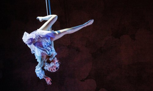 Akrobatkinja poginula nakon pada s trapeza u cirkusu