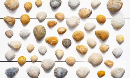 Otkrivena dosad najstarija radionica za izradu nakita u zapadnoj Europi