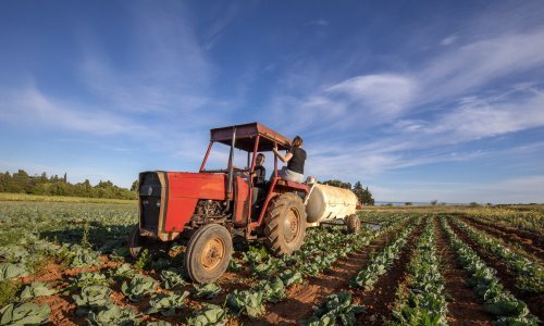 Mladim poljoprivrednicima dostavljeni vrijedni ugovori: Trebali bi modernizirati proizvodnju