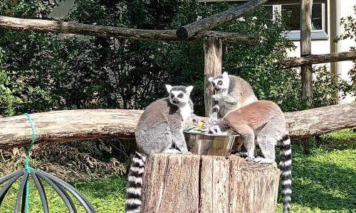 Zagrebački ZOO obilježava 101. godinu postojanja projektima zaštite ugroženih divljih vrsta