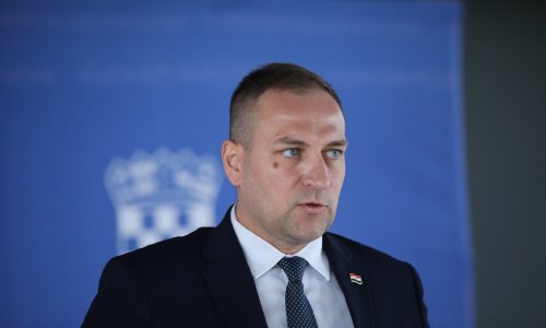Vlajčić potvrdio: Nema novih slučajeva afričke svinjske kuge, ali nema opuštanja