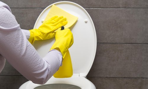 Iznenađenje na testiranju proizvoda: Sredstvo za 1 euro među najefikasnijima je za čišćenje