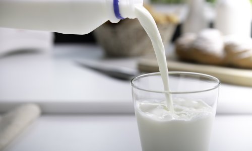 Ne bacajte mlijeko s isteklim rokom: Iskoristite ga - za biljke