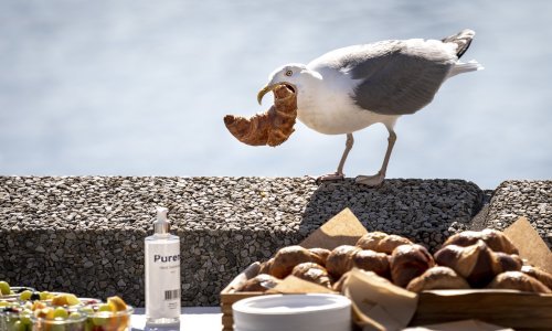 Francuska izdala novu poštansku marku. Mmmm, i to kakvu...