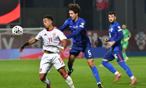 Domagoj Bradarić Hrvatska