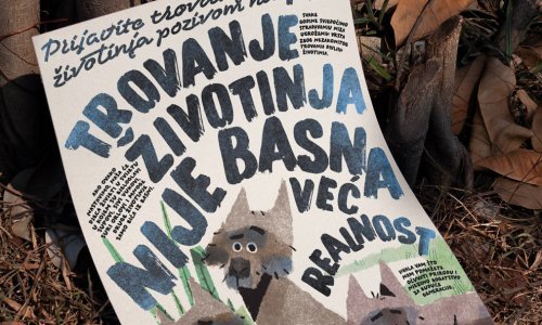 Kreativna agencija Señor kreirala basne koje najmlađe uče o problemu trovanja životinja