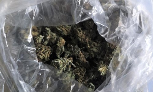 Kod dilera u Orehovici pronađeno više od 6,5 kg marihuane i oružje